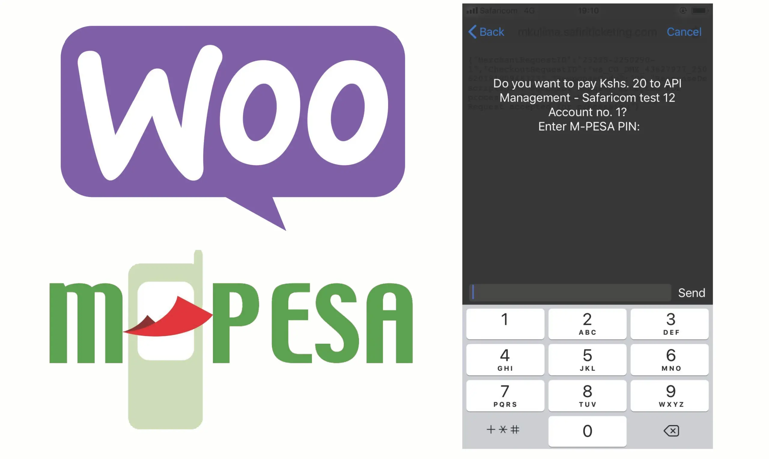 How to accept MPESA Payments to your Woocommerce WordPress Website