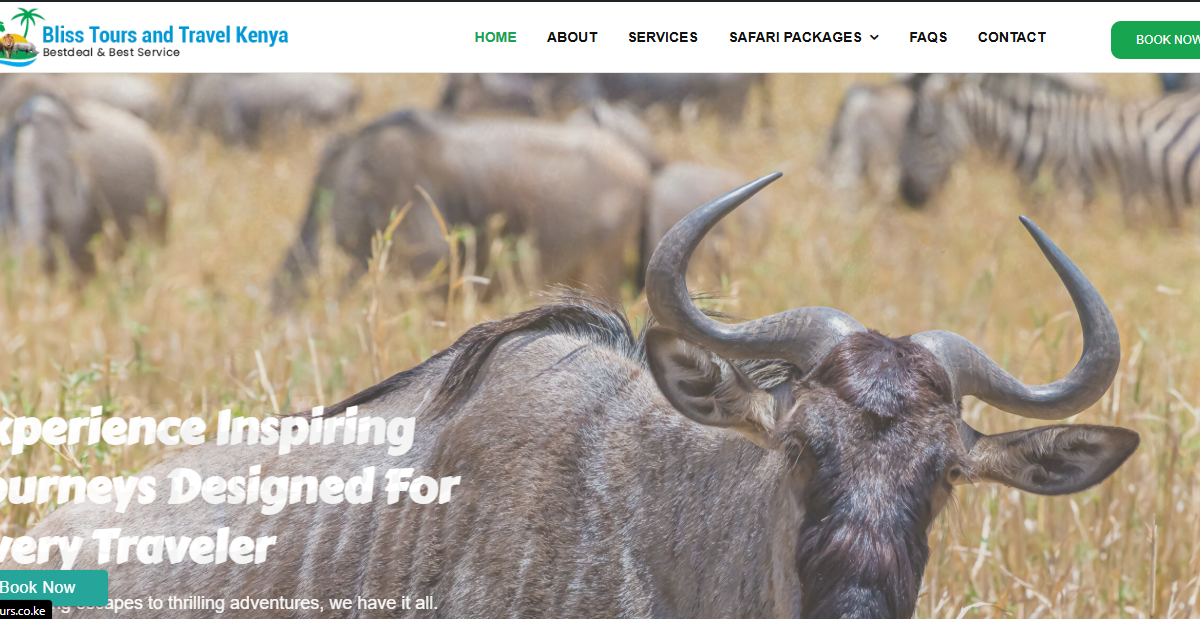 Bliss Tours and Travel Kenya