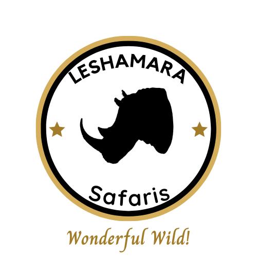 Nairobi Web Designers